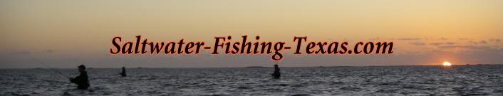 https://www.saltwater-fishing-texas.com/sd/image-files/top.jpg